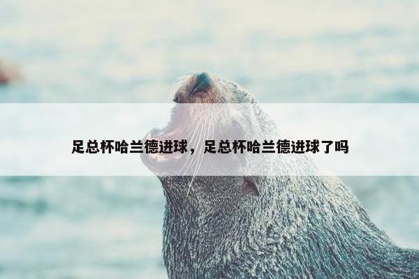 足总杯哈兰德进球，足总杯哈兰德进球了吗