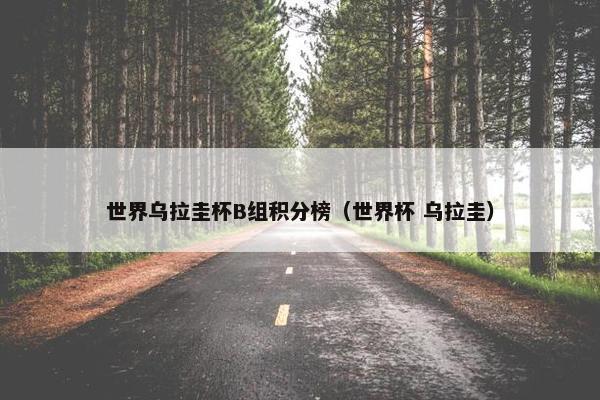 世界乌拉圭杯B组积分榜（世界杯 乌拉圭）