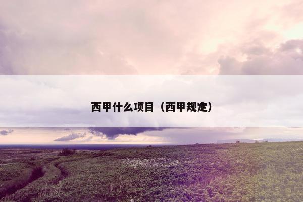 西甲什么项目（西甲规定）