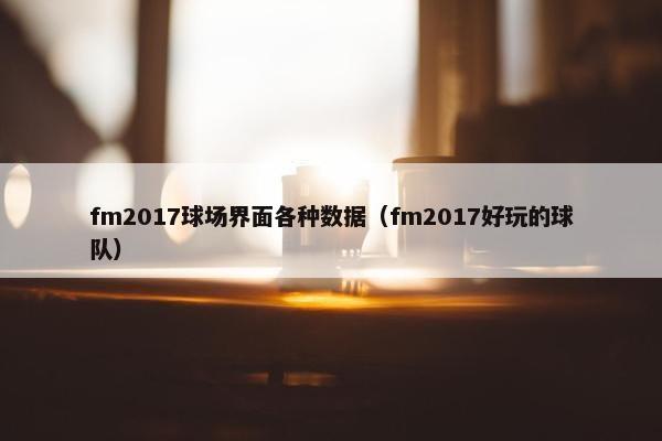 fm2017球场界面各种数据（fm2017好玩的球队）