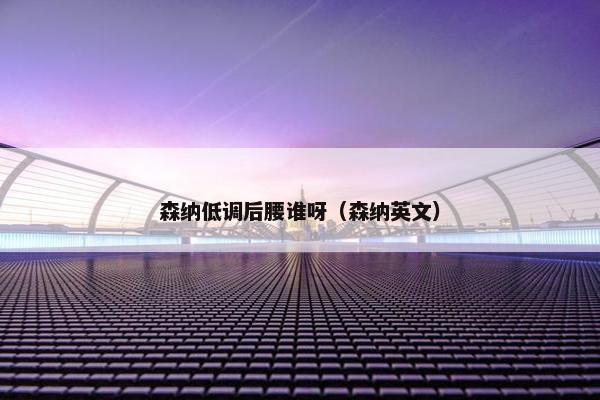 森纳低调后腰谁呀（森纳英文）