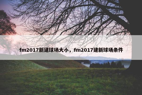 fm2017新建球场大小，fm2017建新球场条件