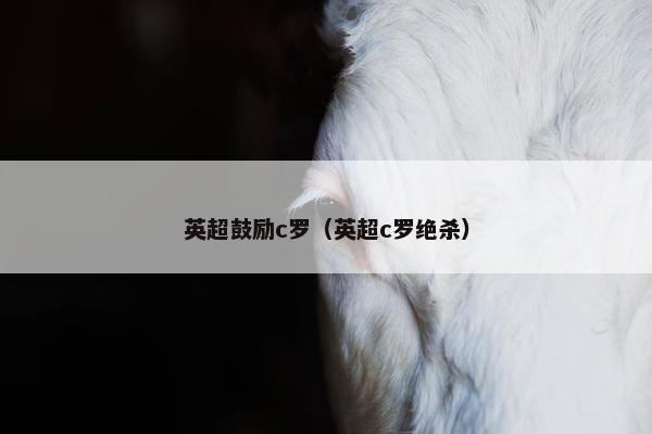 英超鼓励c罗（英超c罗绝杀）