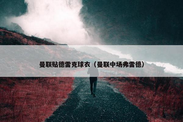 曼联贴德雷克球衣（曼联中场弗雷德）