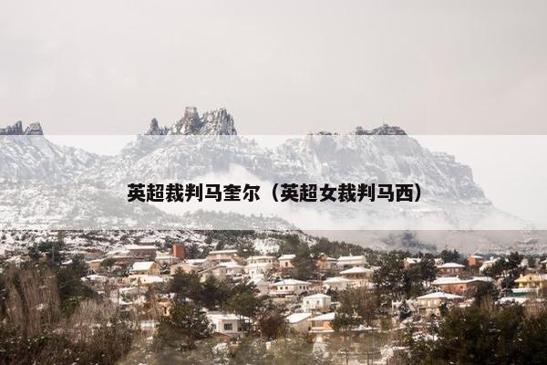 英超裁判马奎尔（英超女裁判马西）