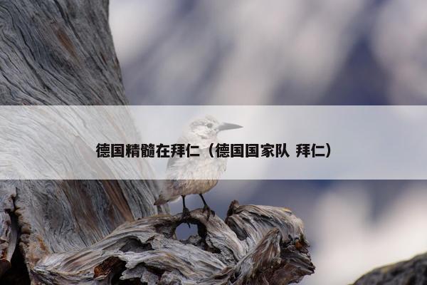 德国精髓在拜仁（德国国家队 拜仁）