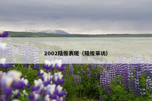 2002陆俊表现（陆俊采访）