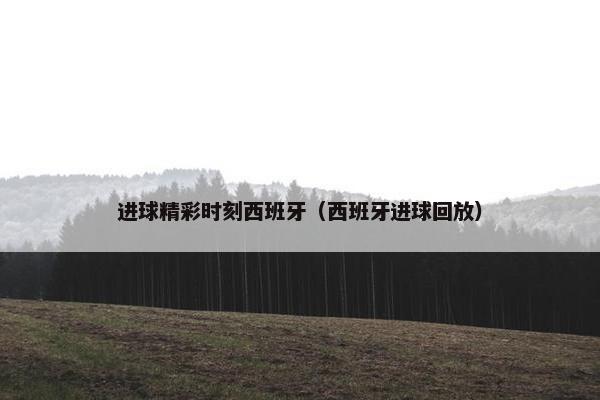进球精彩时刻西班牙（西班牙进球回放）