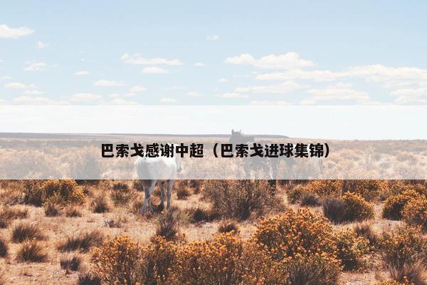 巴索戈感谢中超（巴索戈进球集锦）
