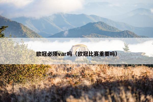 欧冠必须var吗（欧冠比赛重要吗）