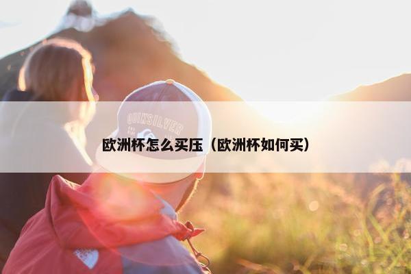 欧洲杯怎么买压（欧洲杯如何买）