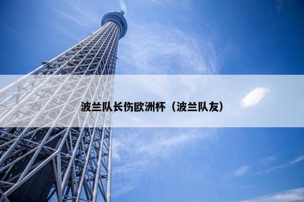 波兰队长伤欧洲杯（波兰队友）