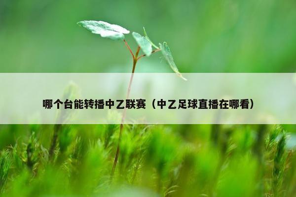 哪个台能转播中乙联赛（中乙足球直播在哪看）