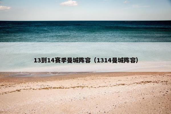 13到14赛季曼城阵容（1314曼城阵容）