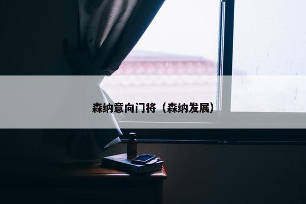 森纳意向门将（森纳发展）