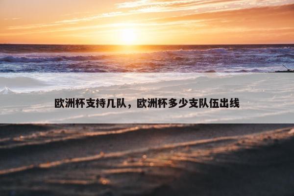 欧洲杯支持几队，欧洲杯多少支队伍出线