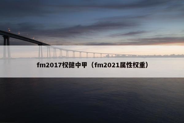 fm2017权健中甲（fm2021属性权重）
