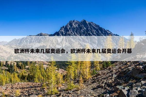 欧洲杯未来几届奥运会，欧洲杯未来几届奥运会开幕