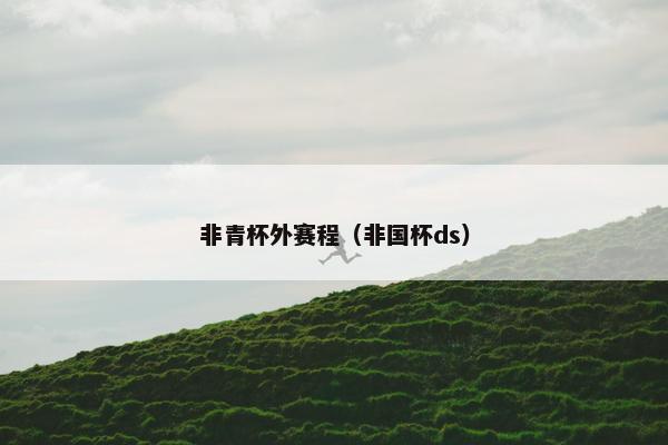 非青杯外赛程（非国杯ds）