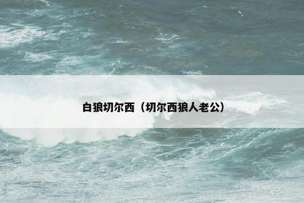 白狼切尔西（切尔西狼人老公）