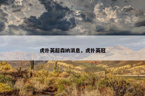 虎扑英超森纳消息，虎扑英冠