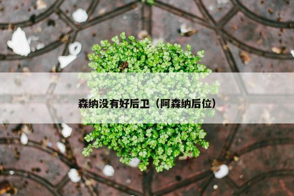 森纳没有好后卫（阿森纳后位）