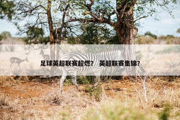 足球英超联赛超燃？ 英超联赛集锦？