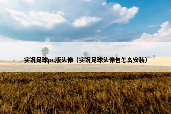 实况足球pc版头像（实况足球头像包怎么安装）