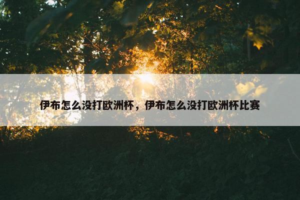 伊布怎么没打欧洲杯，伊布怎么没打欧洲杯比赛