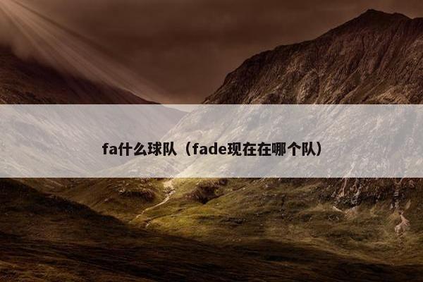 fa什么球队（fade现在在哪个队）