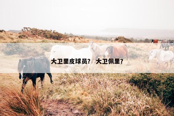 大卫里皮球员？ 大卫佩里？