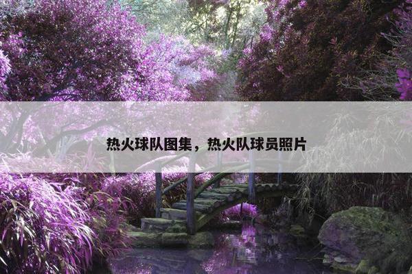 热火球队图集，热火队球员照片