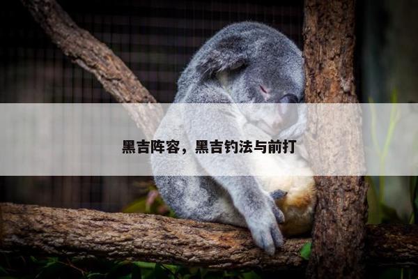 黑吉阵容，黑吉钓法与前打