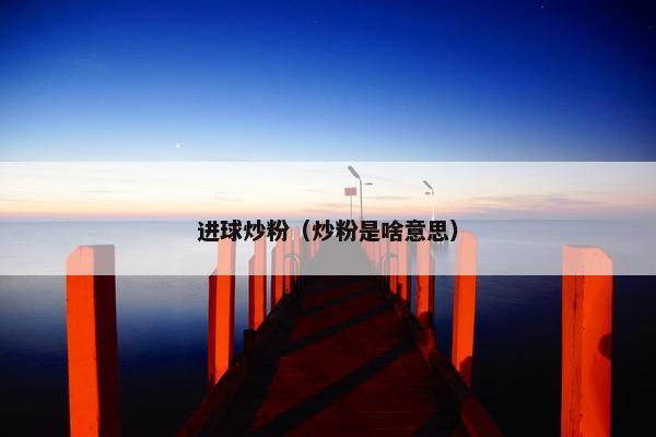 进球炒粉（炒粉是啥意思）