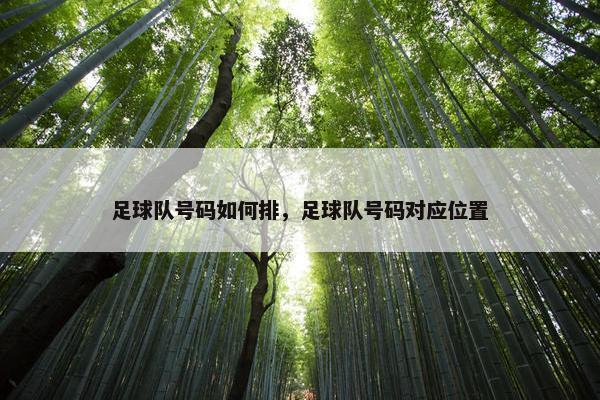 足球队号码如何排，足球队号码对应位置