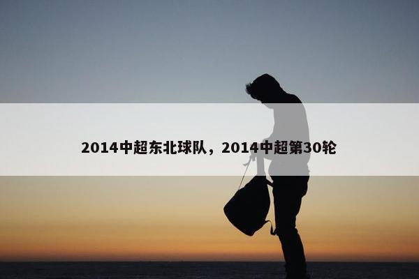 2014中超东北球队，2014中超第30轮