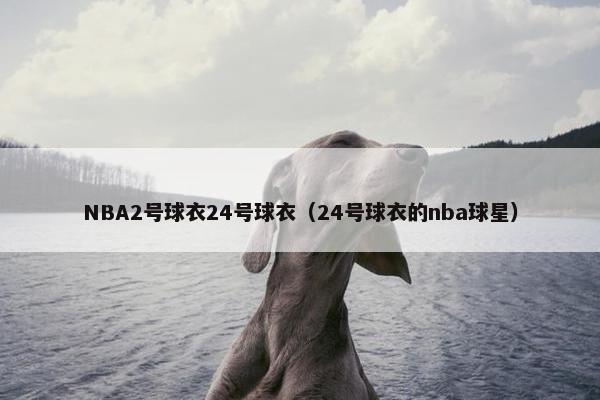 NBA2号球衣24号球衣（24号球衣的nba球星）