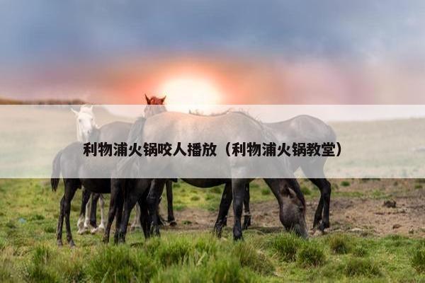 利物浦火锅咬人播放（利物浦火锅教堂）