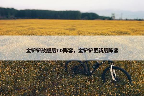 金铲铲改版后T0阵容，金铲铲更新后阵容