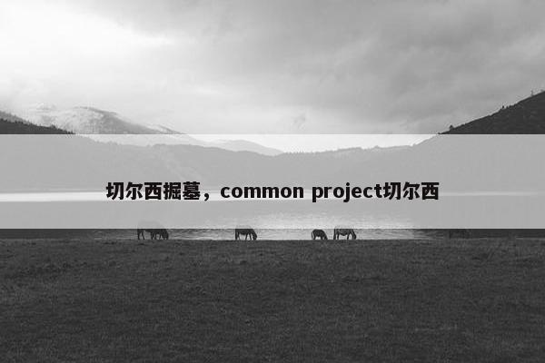 切尔西掘墓，common project切尔西