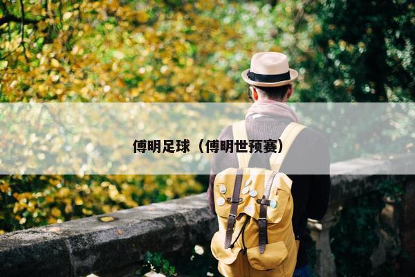 傅明足球（傅明世预赛）