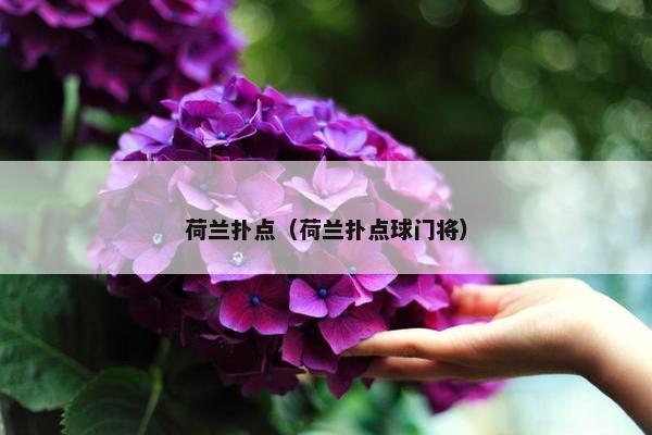 荷兰扑点（荷兰扑点球门将）