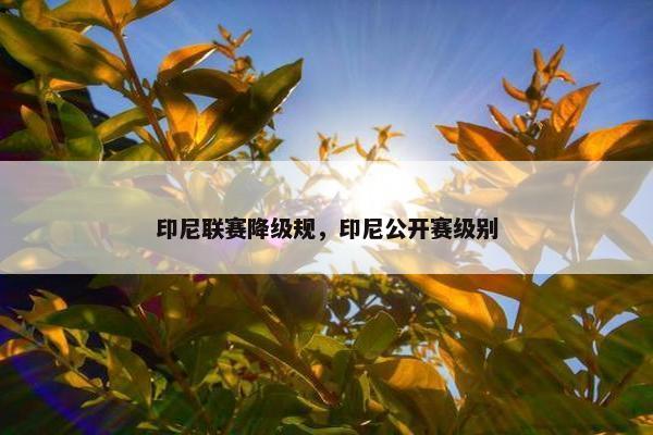 印尼联赛降级规，印尼公开赛级别