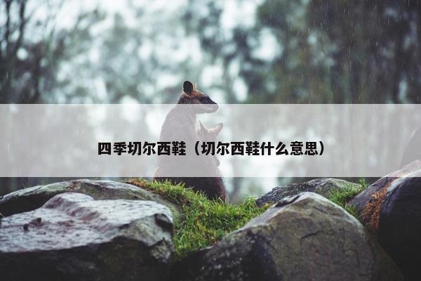 四季切尔西鞋（切尔西鞋什么意思）