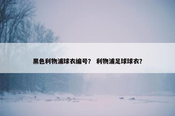 黑色利物浦球衣编号？ 利物浦足球球衣？