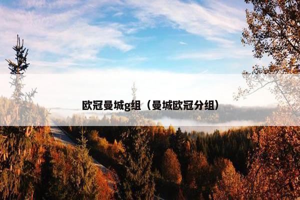 欧冠曼城g组（曼城欧冠分组）