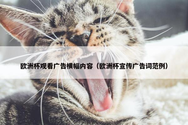 欧洲杯观看广告横幅内容（欧洲杯宣传广告词范例）