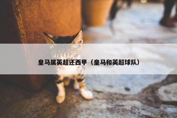 皇马属英超还西甲（皇马和英超球队）