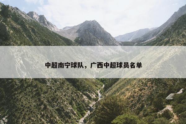 中超南宁球队，广西中超球员名单