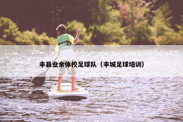 丰县业余体校足球队（丰城足球培训）